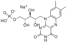 Riboflavin-5-phosphate sodium