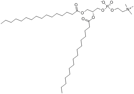 1,2-Dipalmitoyl-sn-glycero-3-phosphocholine