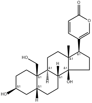 19-Hydroxybufalin