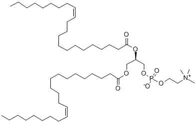 1,2-Dierucoyl-sn-glycero-3-phosphocholine