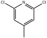 2,6-Dichloro-4-methylpyridine